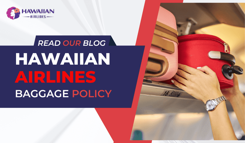 Allegiant Airlines Baggage Policy